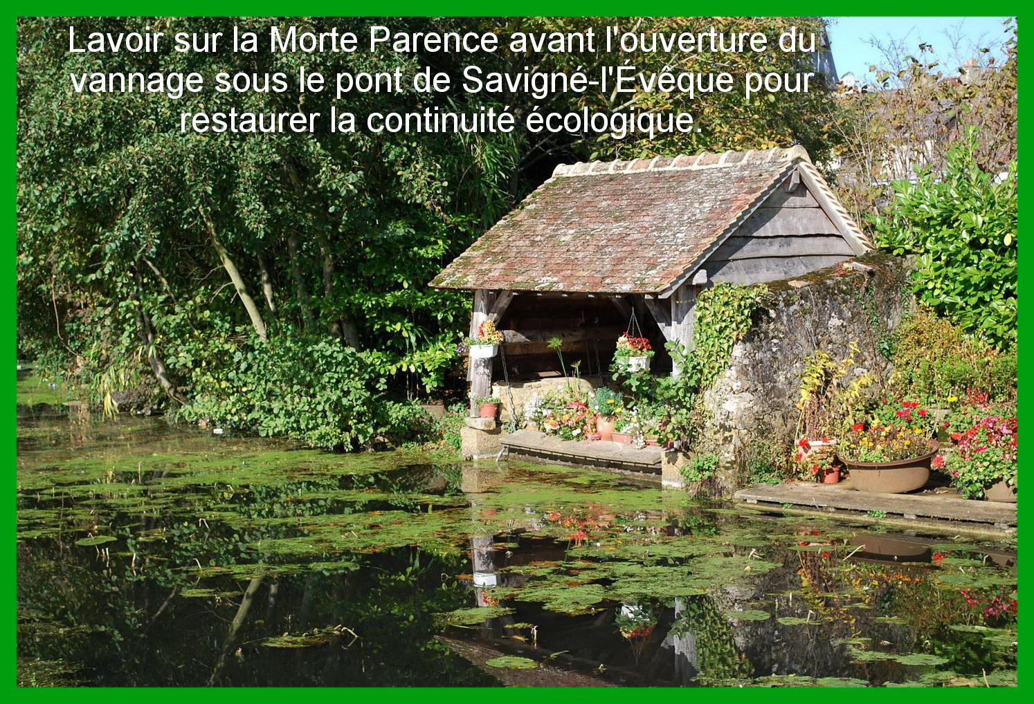 lavoir sur la morte parence à Savigné l'évêque AVEC TEXTE