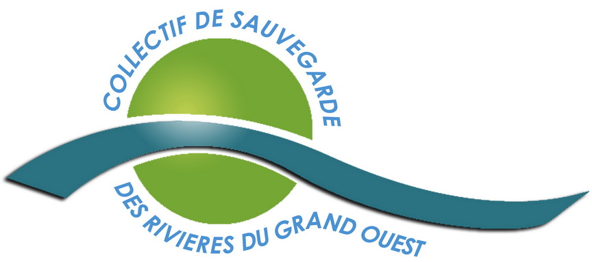 logo CSRGO moins lourd